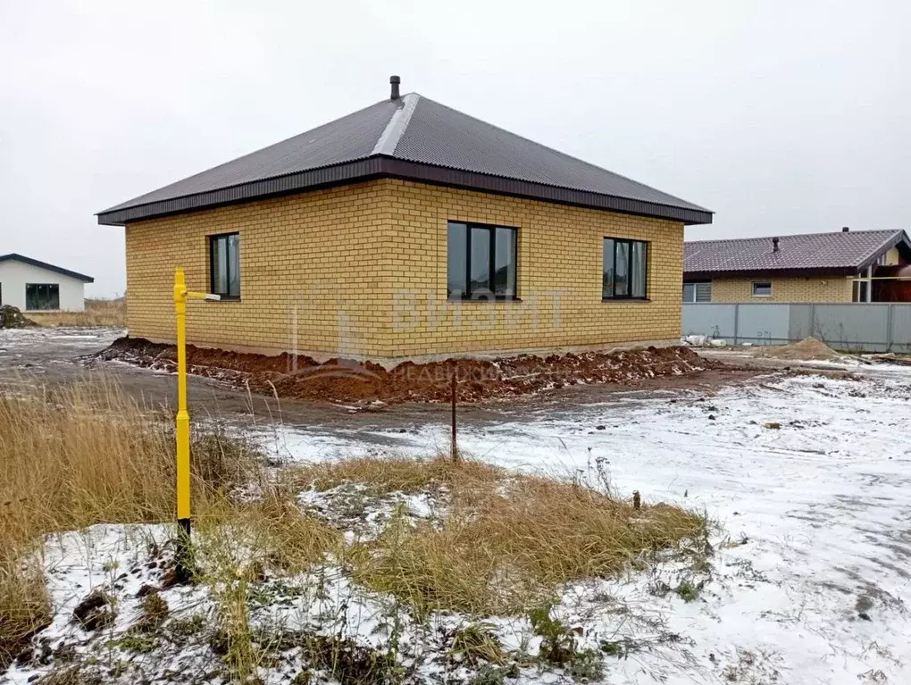 Дом в Татарстан, Мензелинск ул. Хирурга Дружкова, 24 (93 м) - Фото 1