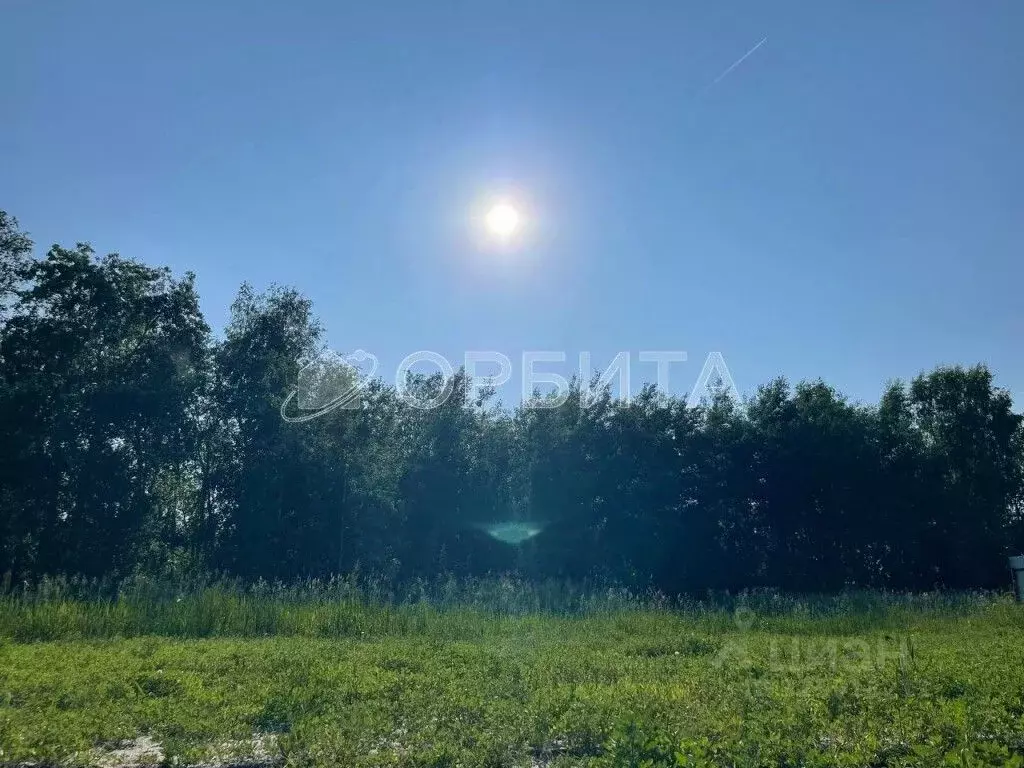 Участок в Тюменская область, Тюменский муниципальный округ, д. ... - Фото 1