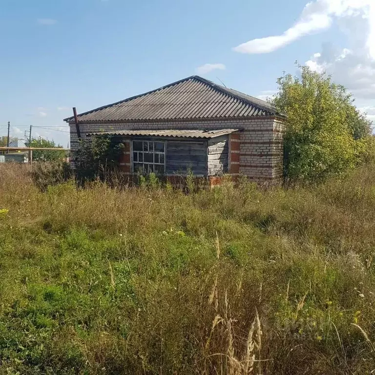 Помещение свободного назначения в Нижегородская область, Шатковский ... - Фото 1