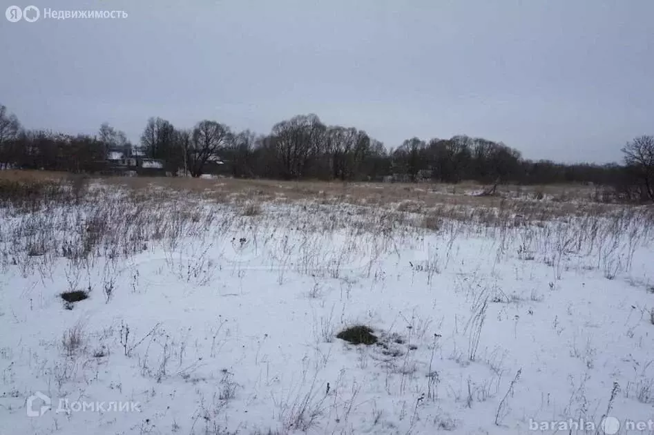 Участок в Ивановский сельсовет, ТСН Ивановское (22 м) - Фото 0