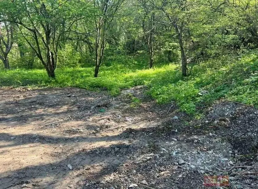 Участок в Краснодарский край, Новороссийск Родничок СНТ, ул. Дозорная ... - Фото 2
