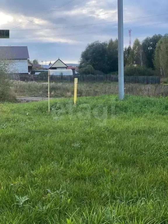 Участок в Кемеровская область, Кемеровский район, с. Андреевка ул. ... - Фото 1