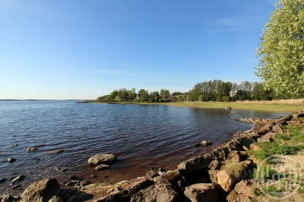 1-к кв. Ленинградская область, Выборгский район, Советское городское ... - Фото 0