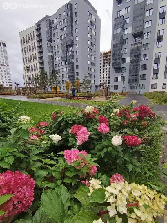 2-комнатная квартира: Екатеринбург, улица Чемпионов, 15 (37.3 м) - Фото 0