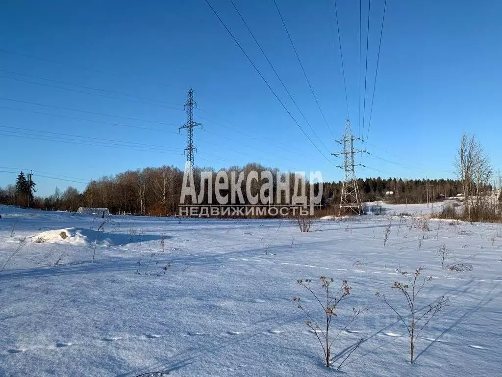 Участок в Ленинградская область, Выборгский район, Каменногорское ... - Фото 1