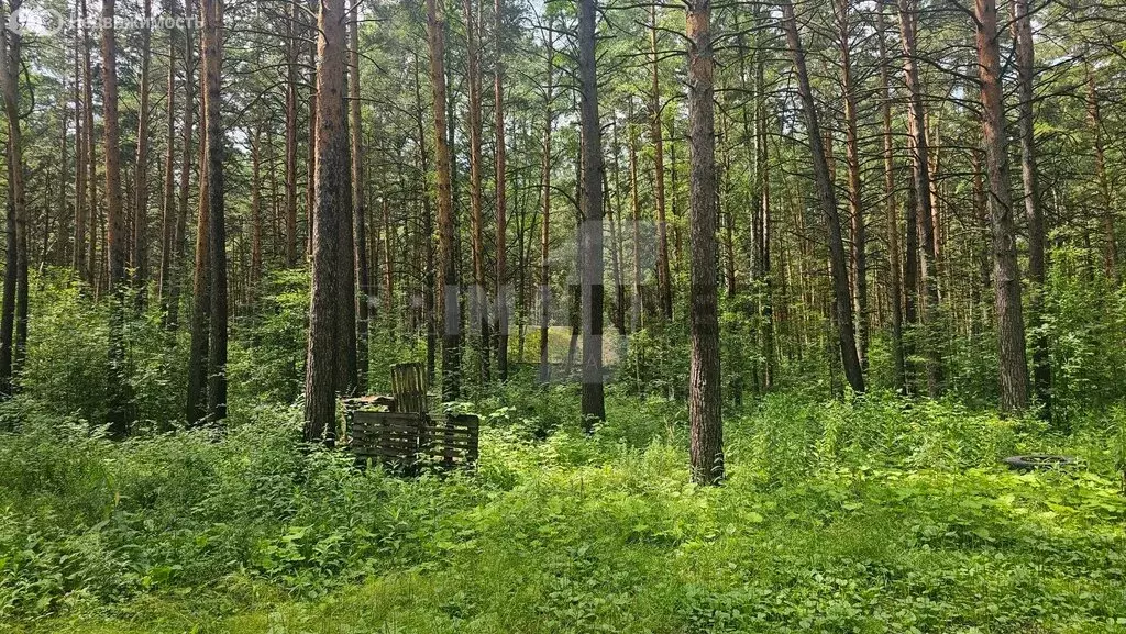 Помещение свободного назначения (1695.3 м) - Фото 1