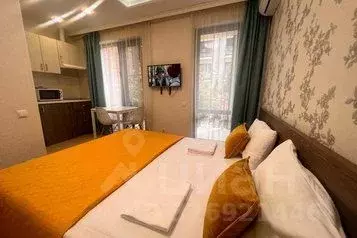 1-к кв. Краснодарский край, Сочи ул. Ленина, 219А/1к1 (23.0 м) - Фото 1