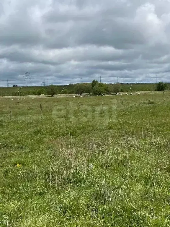 Участок в Калининградская область, Зеленоградский муниципальный округ, ... - Фото 1