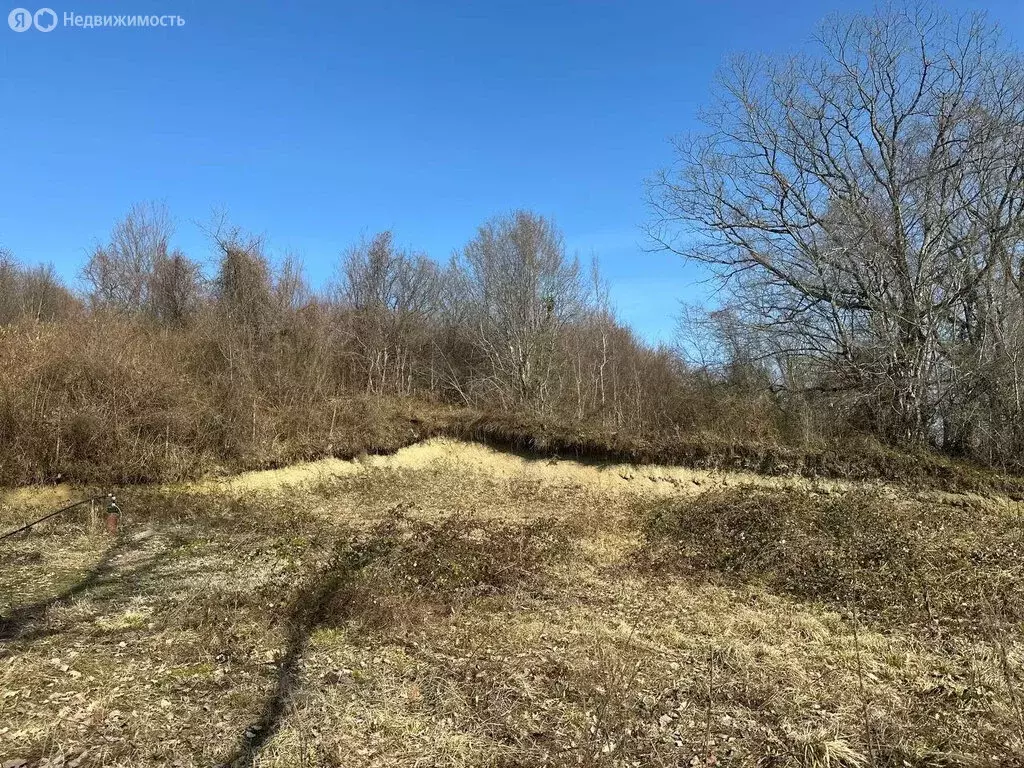 Участок в Краснодарский край, городской округ Сочи, село Богушёвка, ... - Фото 2