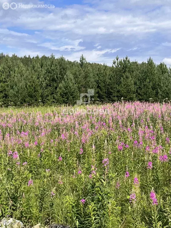 Дом в Екатеринбург, ДНП Екатерининское (145 м) - Фото 0