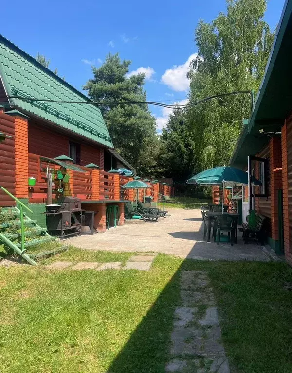 Дом в Московская область, Ступино городской округ, д. Дубечино ул. ... - Фото 1