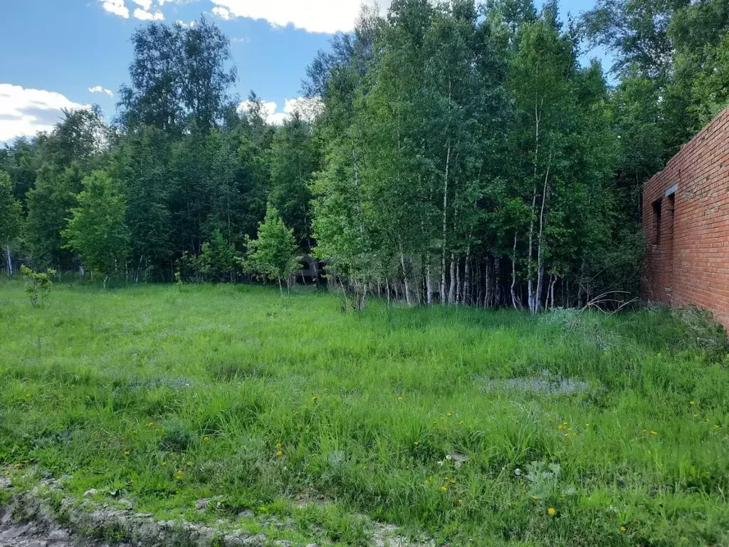 Участок в Томская область, Кожевниковский район, с. Киреевск Сибирская ... - Фото 2