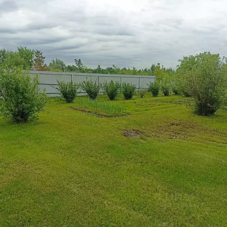 Дом в Омская область, Омский район муниципальный округ, пос. Омский  ... - Фото 2