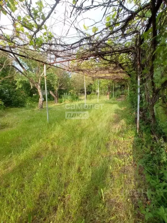Дом в Волгоградская область, Волгоград Янтарь СНТ, ул. 8-я (25 м) - Фото 0