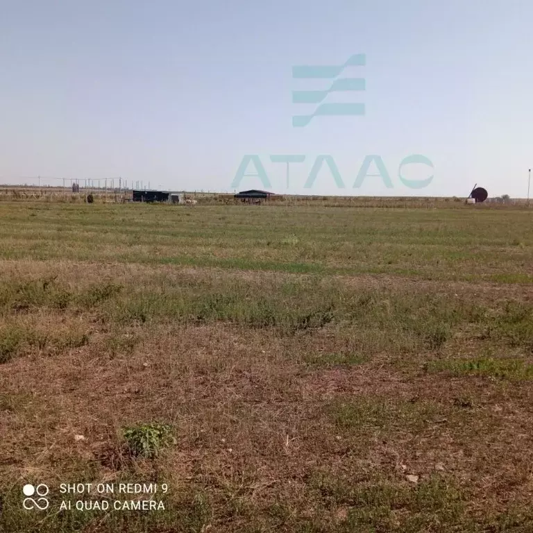 Участок в Крым, Симферопольский район, с. Родниково  (100.0 сот.) - Фото 2