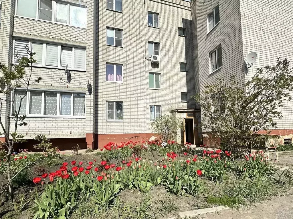 2-к кв. Воронежская область, Рамонь рп ул. Ильинского, 4 (53.0 м) - Фото 2