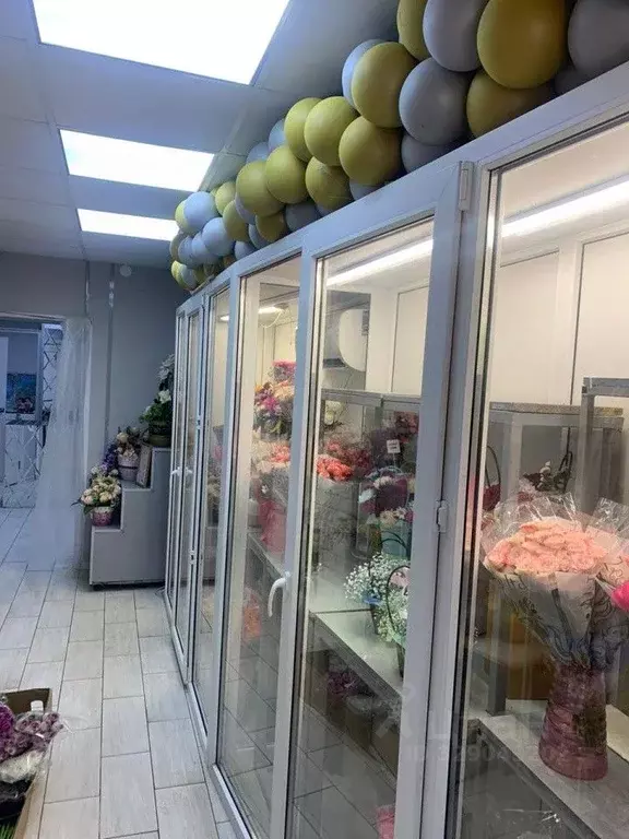 Помещение свободного назначения в Орловская область, Орел ул. МОПРа, ... - Фото 2