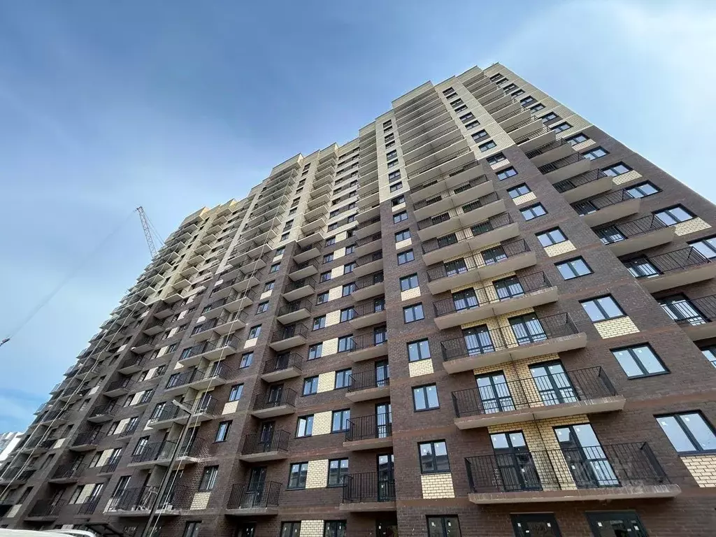 2-к кв. Ярославская область, Ярославль ул. Строителей, 16к3 (53.0 м) - Фото 2