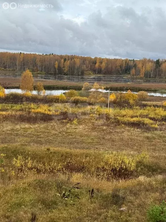 Участок в Красносельский район, Шолоховское сельское поселение, ... - Фото 2
