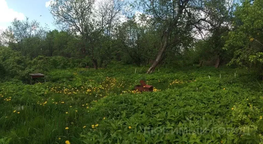 Участок в Нижегородская область, Богородский муниципальный округ, д. ... - Фото 0