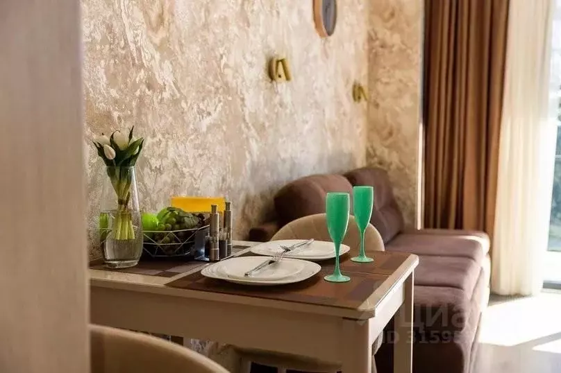 2-к кв. Краснодарский край, Сочи ул. Ленина, 217а (50.0 м) - Фото 1