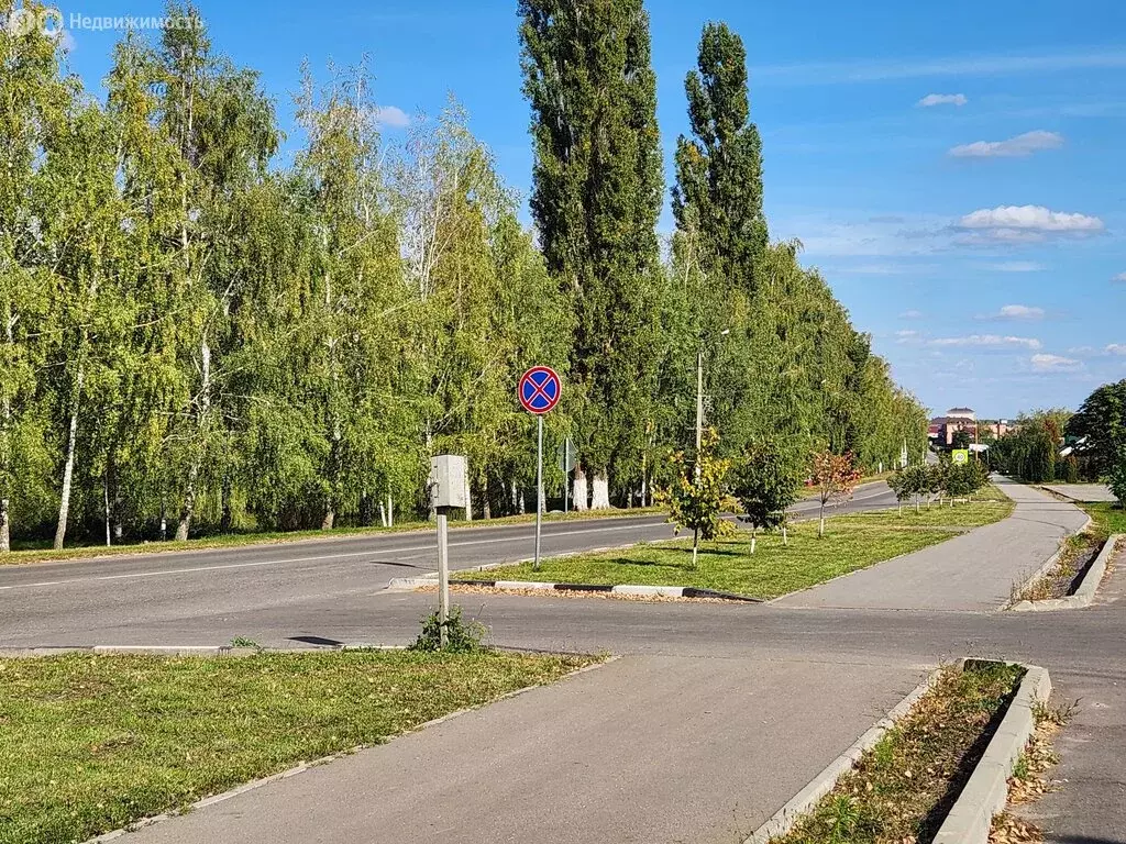 Участок в Красное, Красноармейская улица, 2Б (1 м) - Фото 2