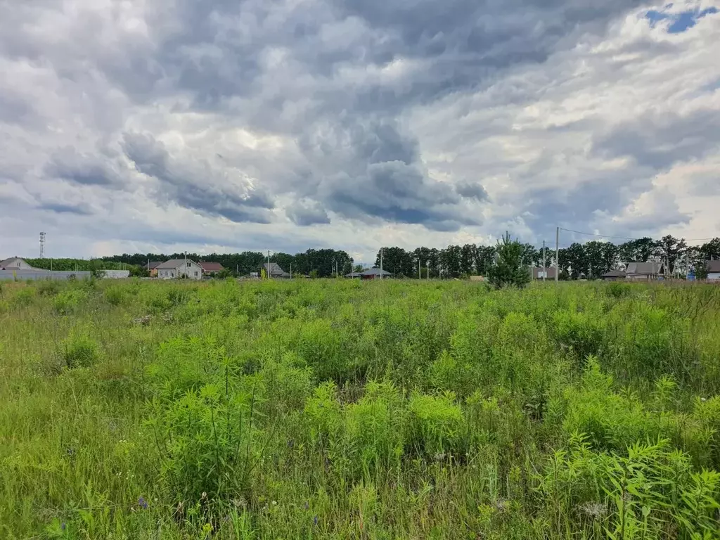 Участок в Липецкая область, Грязинский район, Плехановский сельсовет, ... - Фото 2