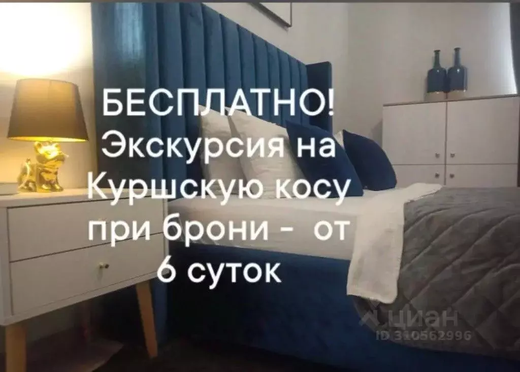 1-к кв. Калининградская область, Калининград ул. Юрия Гагарина, 11 ... - Фото 1