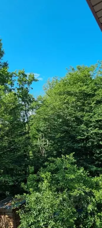 2-к кв. Краснодарский край, Сочи городской округ, с. Верхневеселое, ... - Фото 1