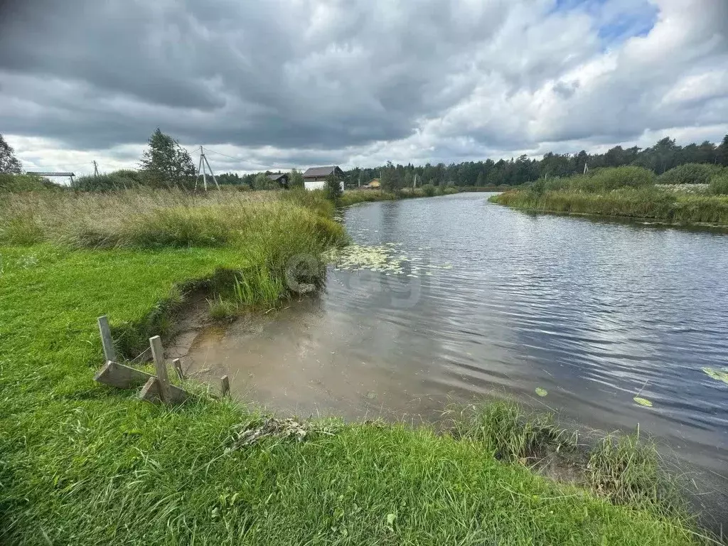 Участок в Костромская область, Красносельский район, Шолоховское ... - Фото 2