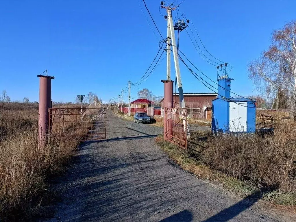 Участок в Тюменская область, Тюмень Поле Чудес-2 садовое товарищество, ... - Фото 1