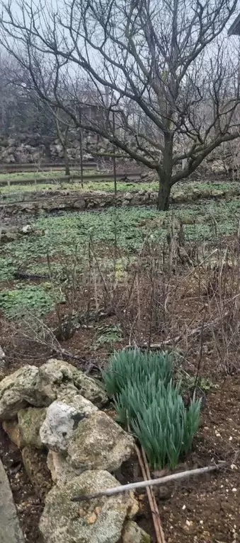 Участок в Севастополь Гагаринский муниципальный округ,  (4.0 сот.) - Фото 0