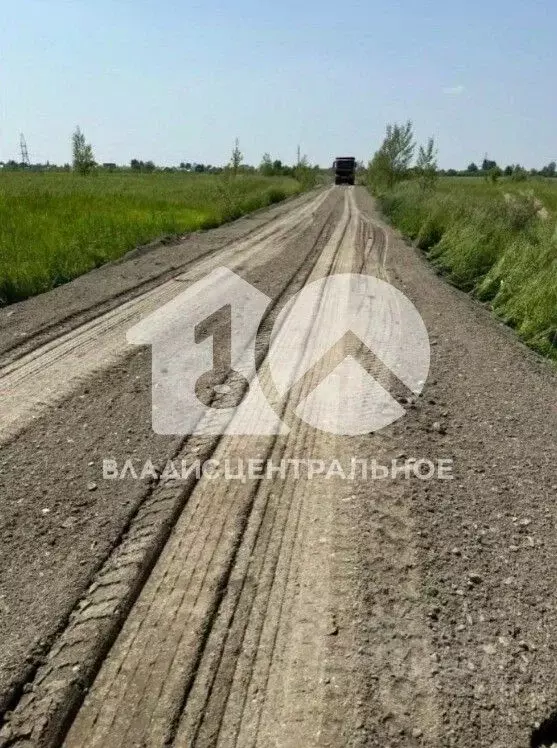 Участок в Новосибирская область, Колыванский район, Пять озер СНТ ... - Фото 1