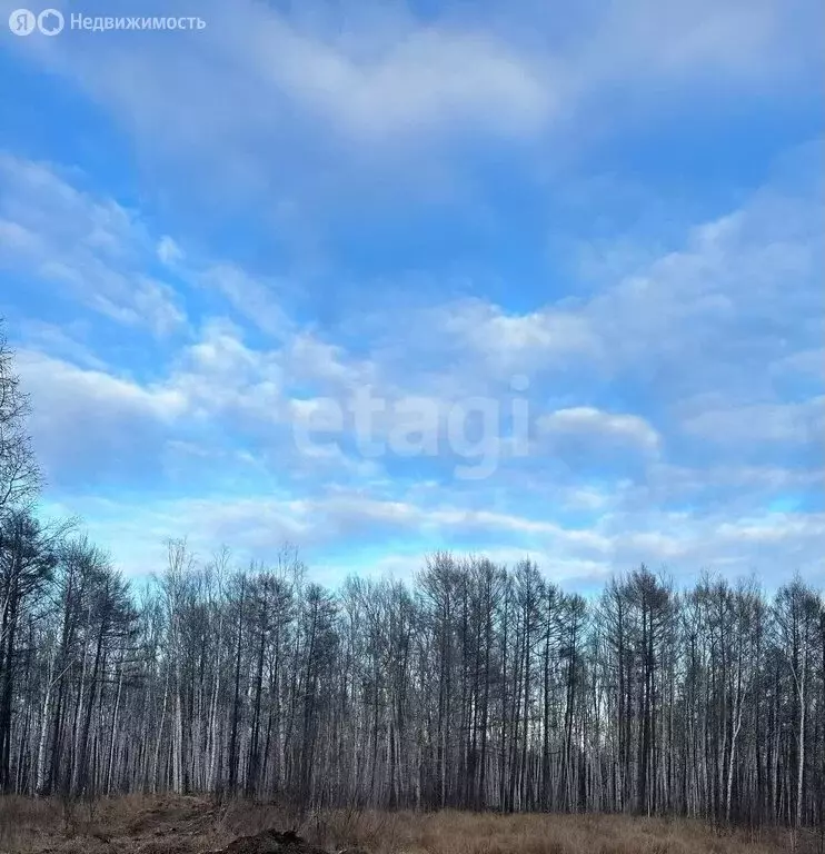 Участок в Комсомольск-на-Амуре, посёлок Малая Хапсоль, Мирная улица ... - Фото 1