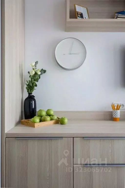 1-к кв. Санкт-Петербург Социалистическая ул., 21 (24.0 м) - Фото 2