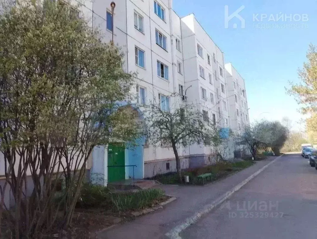 1-к кв. Воронежская область, с. Новая Усмань ул. Полевая, 51 (38.0 м) - Фото 1