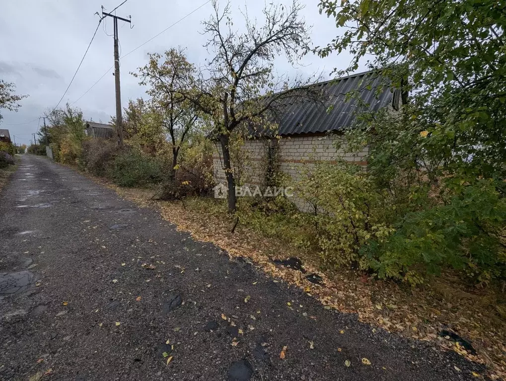 Участок в Белгородская область, Белгород Луч садовое товарищество, ... - Фото 1