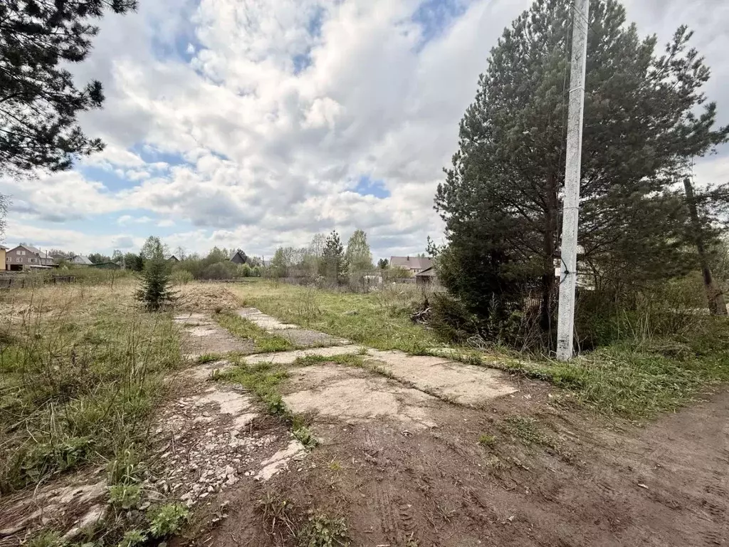 Участок в Костромская область, Шарья городской округ, д. Алешунино ул. ... - Фото 1