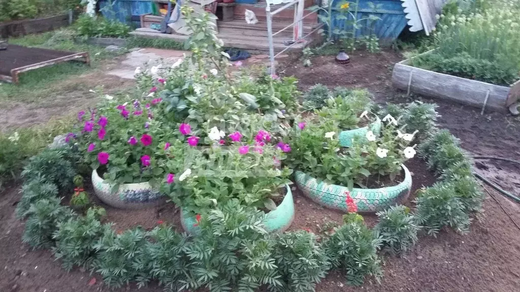 Дом в Забайкальский край, Читинский район, Огонек СНТ  (33 м) - Фото 1