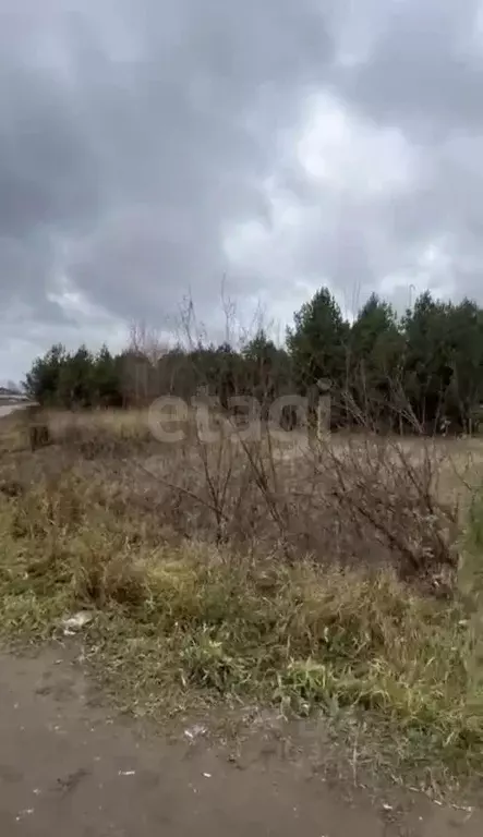 Участок в Удмуртия, Завьяловский район, д. Каменное  (100.0 сот.) - Фото 1
