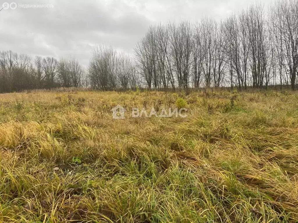 Участок в Суздальский район, село Новоалександрово (21 м) - Фото 1