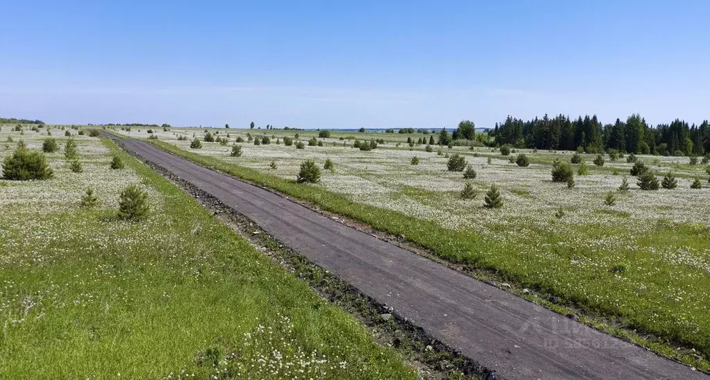 Участок в Удмуртия, Завьяловский район, д. Красный Кустарь  (8.0 сот.) - Фото 1