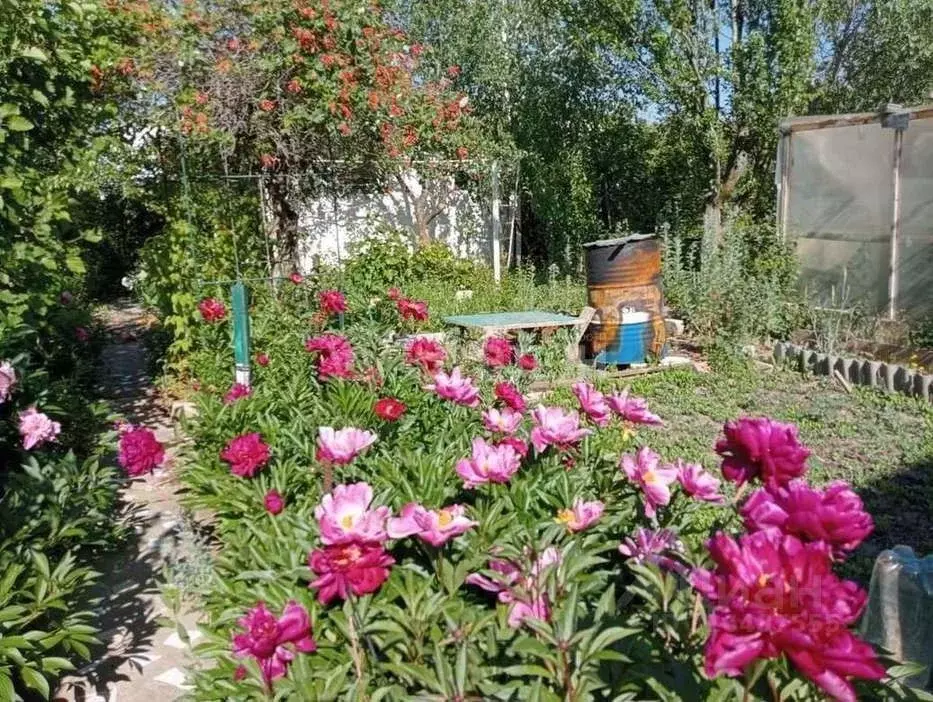Дом в Волгоградская область, Волгоград Березка СНТ,  (30 м) - Фото 1