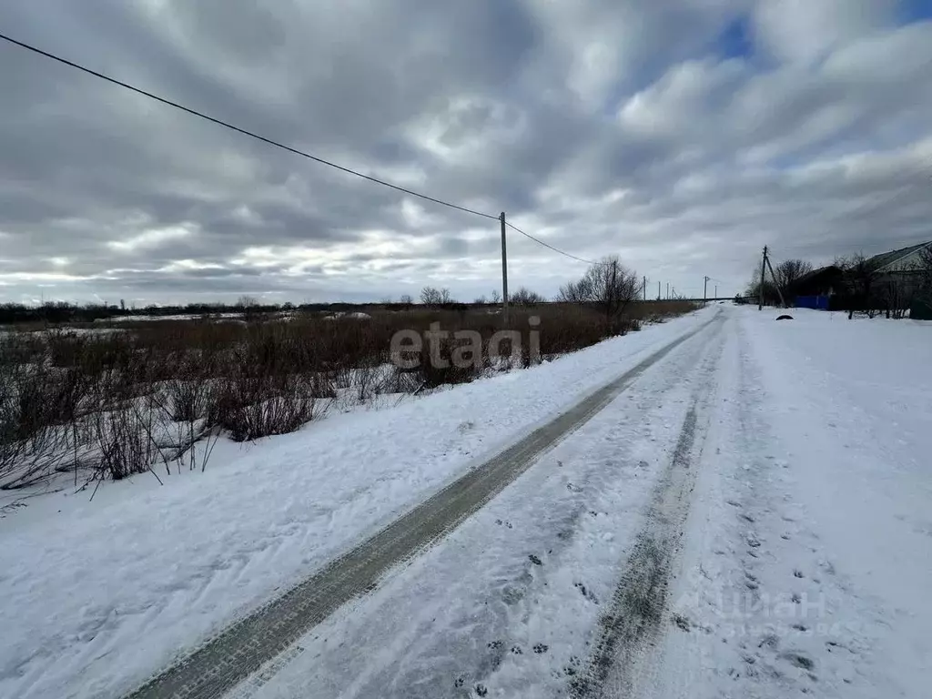 Участок в Саратовская область, Балашовский район, Хоперское ... - Фото 0