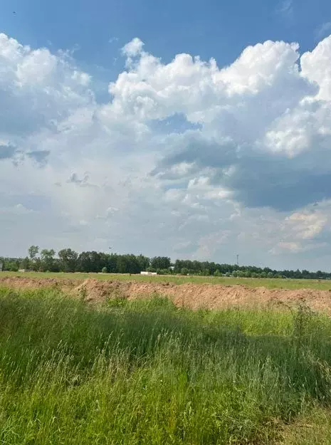 Участок в Московская область, Пушкинский городской округ, с. ... - Фото 0