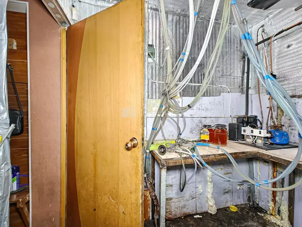 Помещение свободного назначения в Новосибирская область, Новосибирск ... - Фото 1