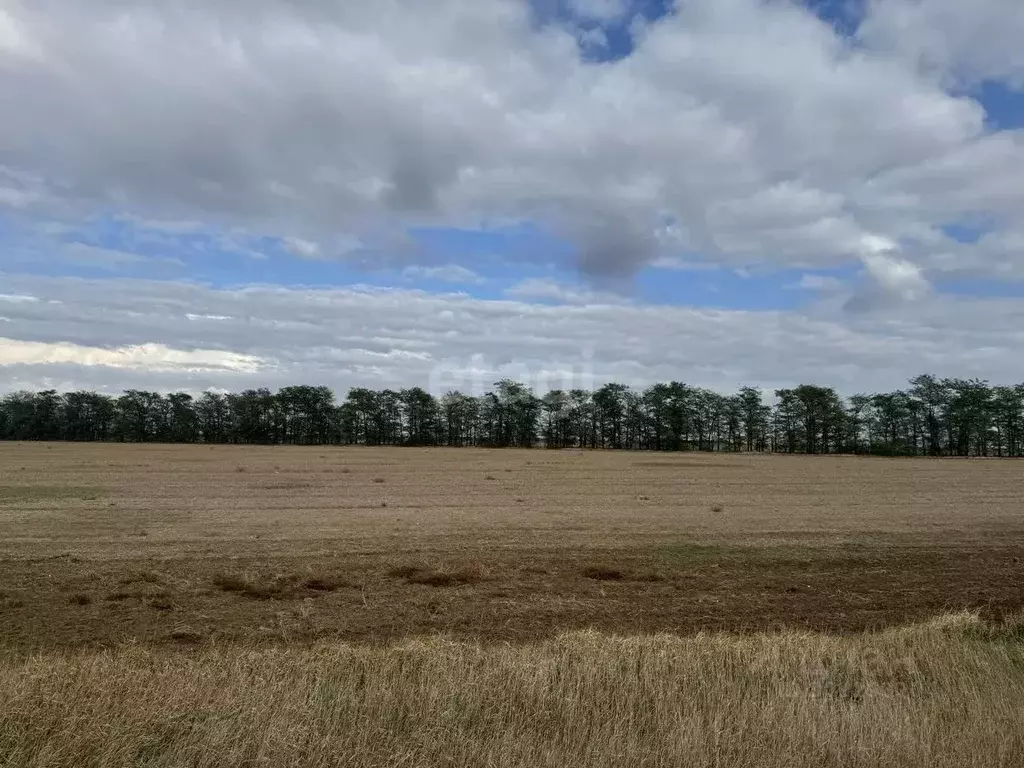 Участок в Крым, Сакский район, с. Ромашкино ул. Интернациональная ... - Фото 0