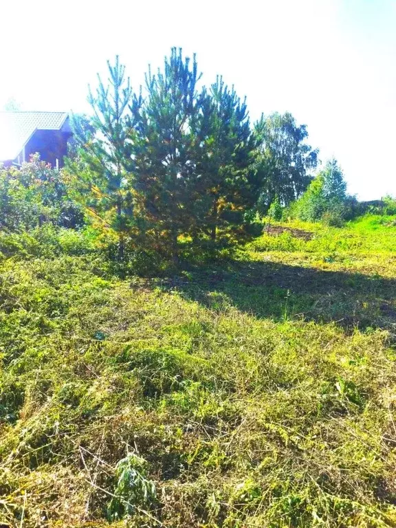 Участок в Алтайский край, Барнаул Зимовка кв-л, ул. Набережная (6.0 ... - Фото 1