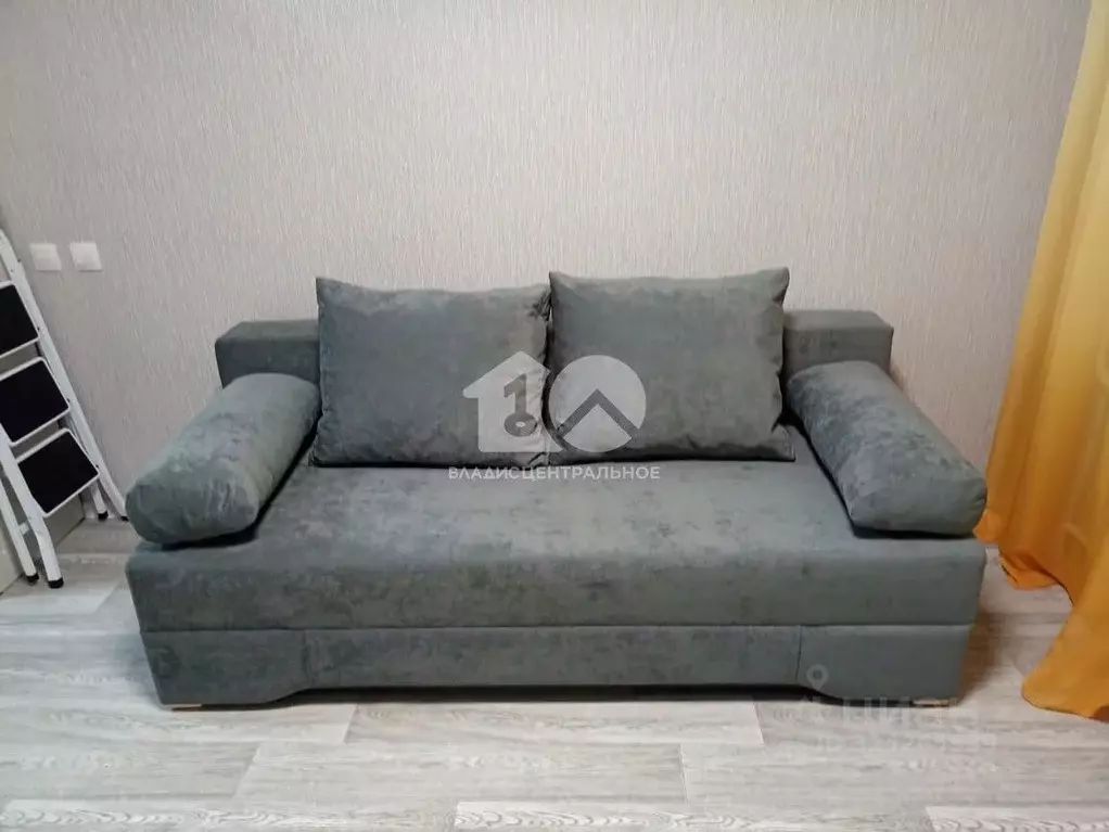 Студия Новосибирская область, Новосибирский район, Станционный ... - Фото 1