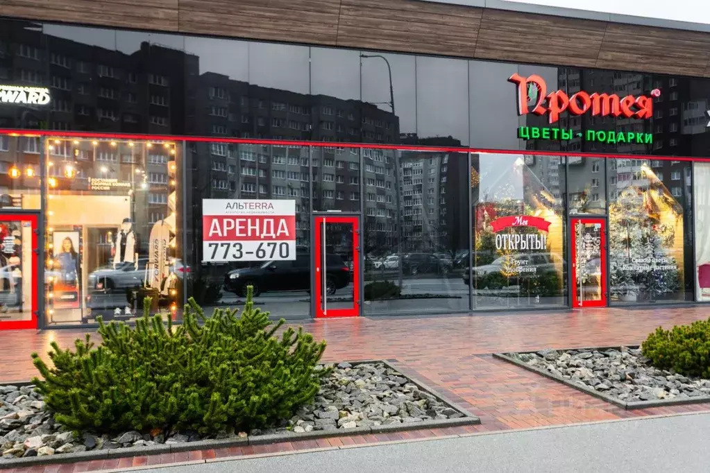 Торговая площадь в Калининградская область, Калининград ул. Генерала ... - Фото 2